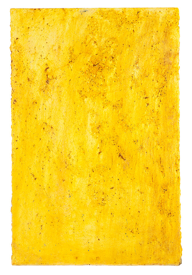 curcuma papel 21.jpg